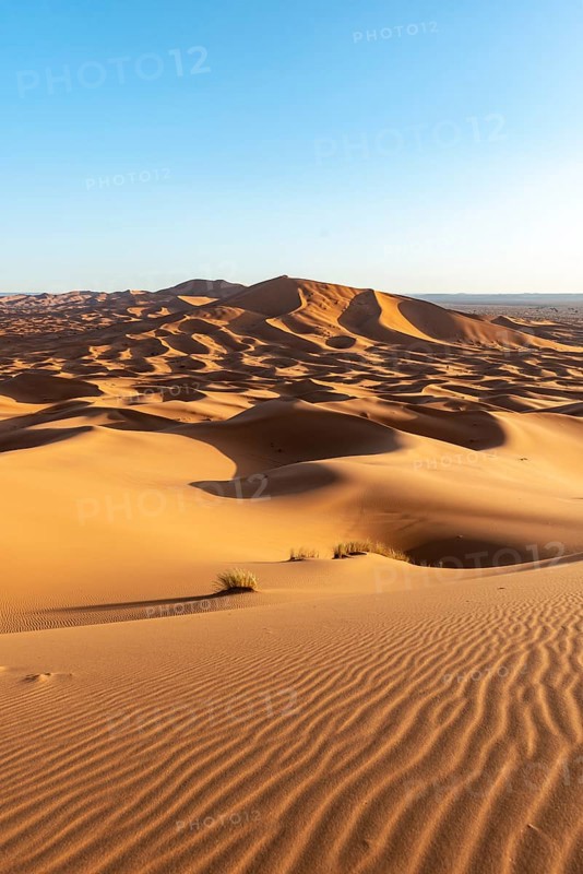Sand dunes in the desert