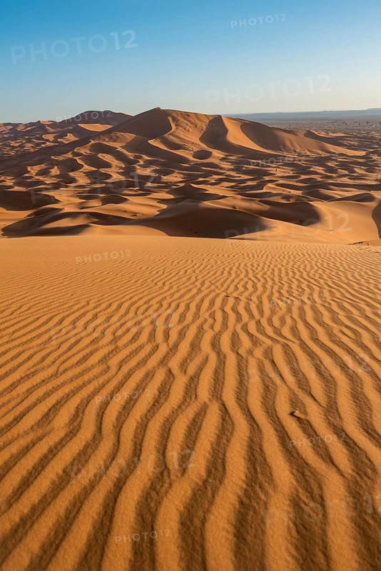 Sand dunes in the desert