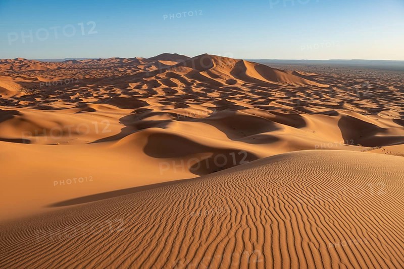Sand dunes in the desert