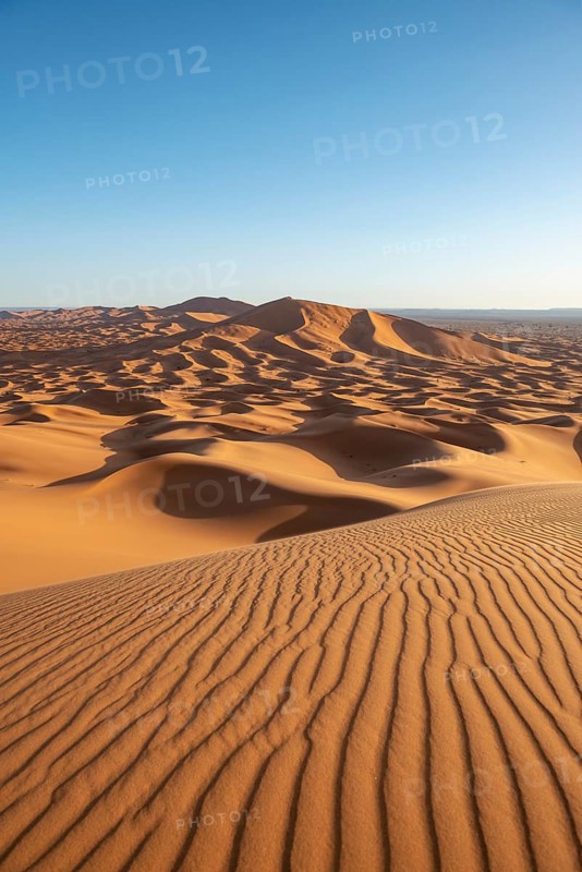 Sand dunes in the desert