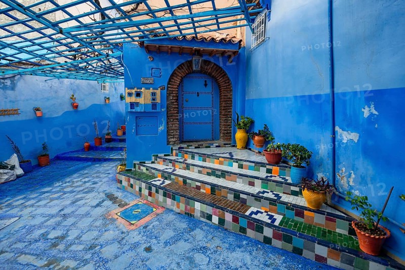 Colorfully tiled staircase with flower pots