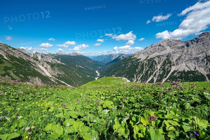 View into the valley of the Schwarzwasserbach