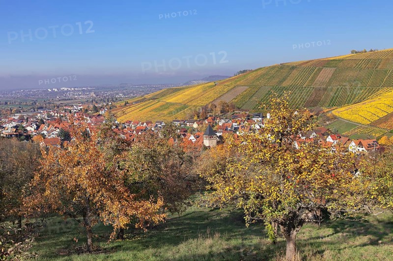 Strumpfelbach in autumn