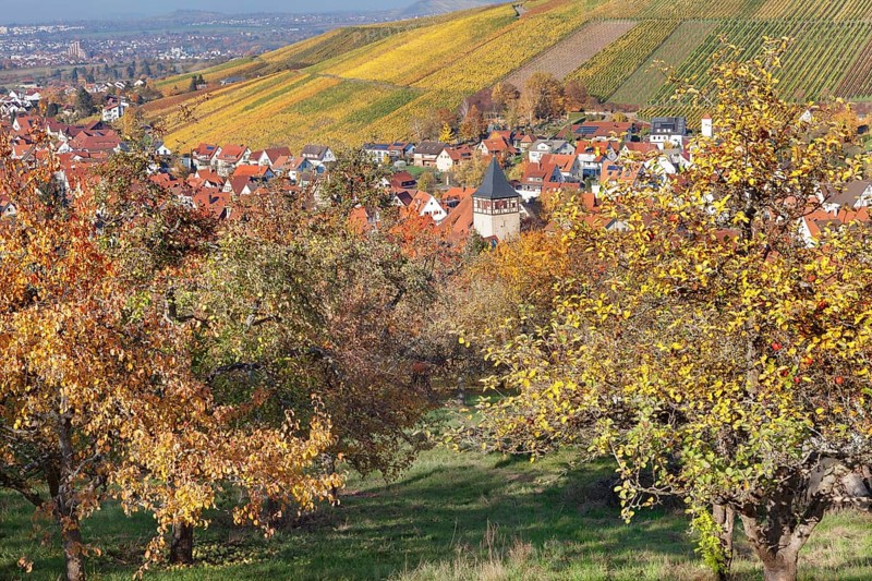 Strumpfelbach in autumn