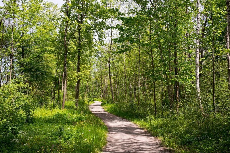 Hiking and bike trail