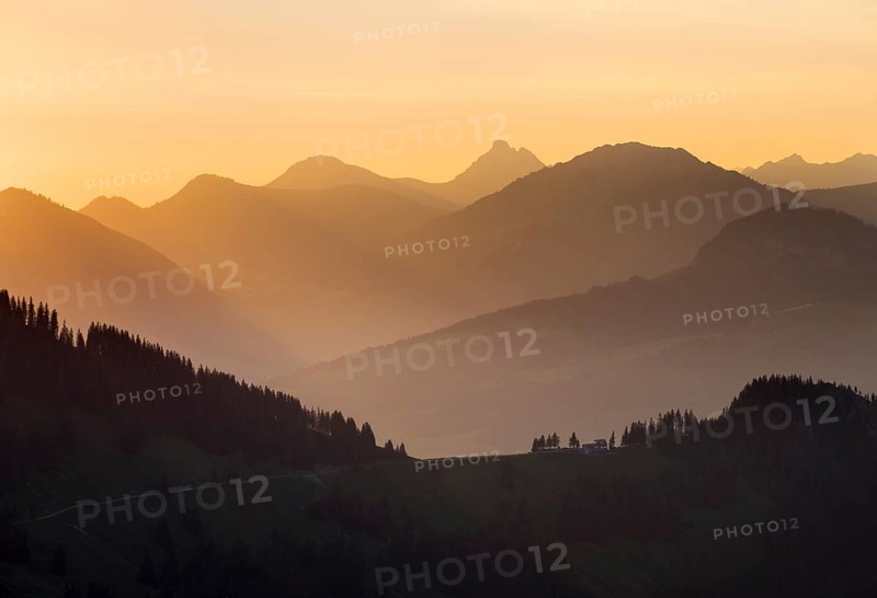 Morning light