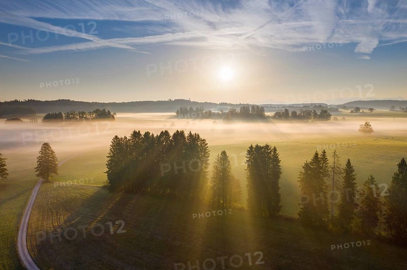 Ground fog at sunrise