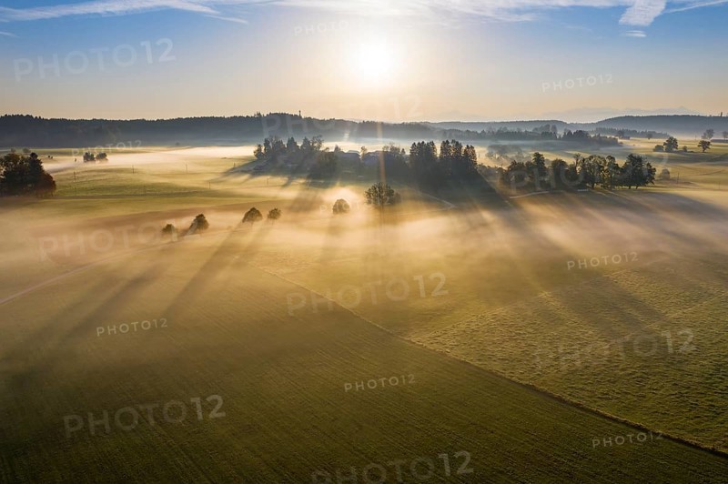 Ground fog at sunrise
