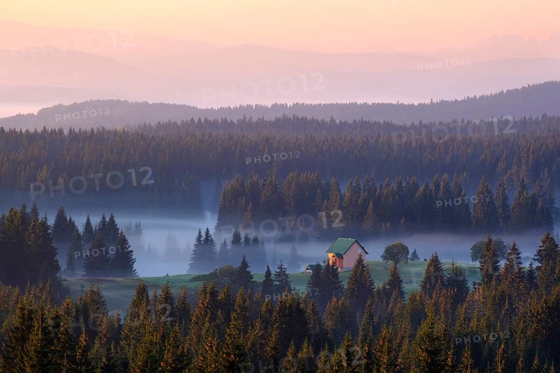 Small house on alp in the forest with morning fog