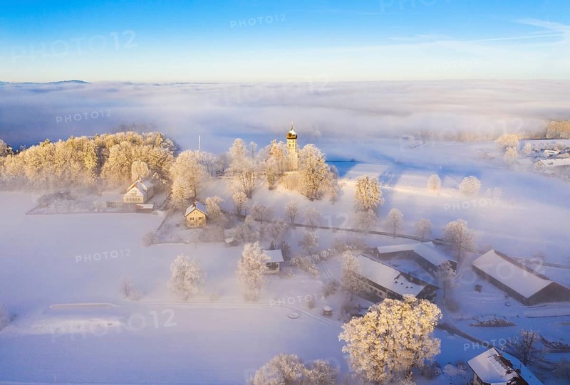 Winter landscape