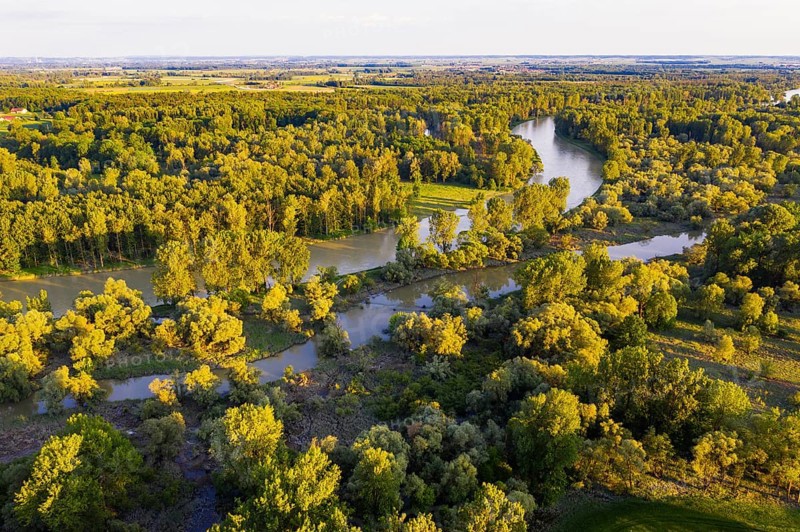Isar shortly in front of the estuary