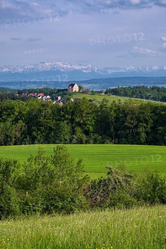 View of Castle Freudental on the Bodanruck
