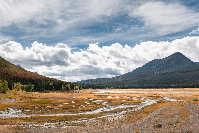 Stream meanders through a grassy landscape