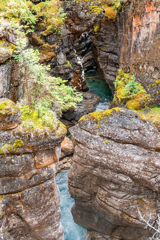 Stream flows in a gorge
