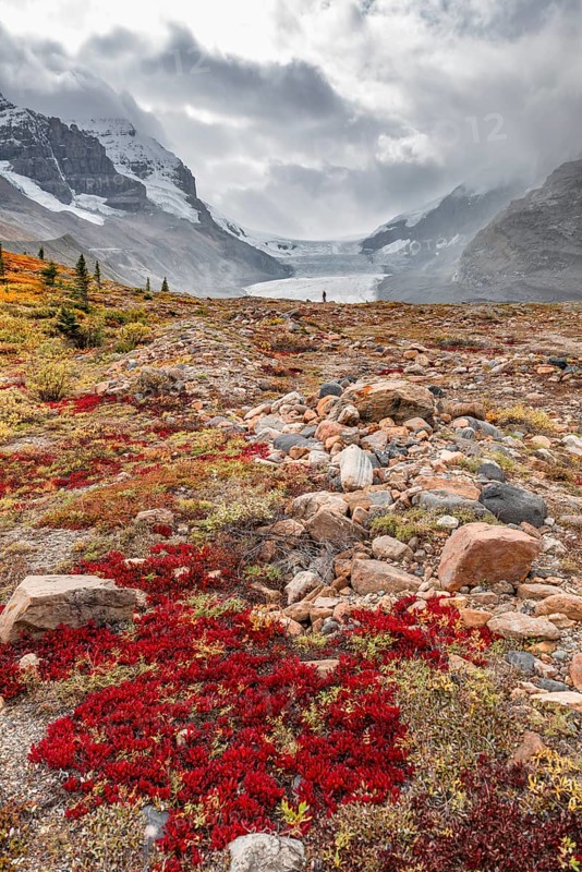 Barren Landscape