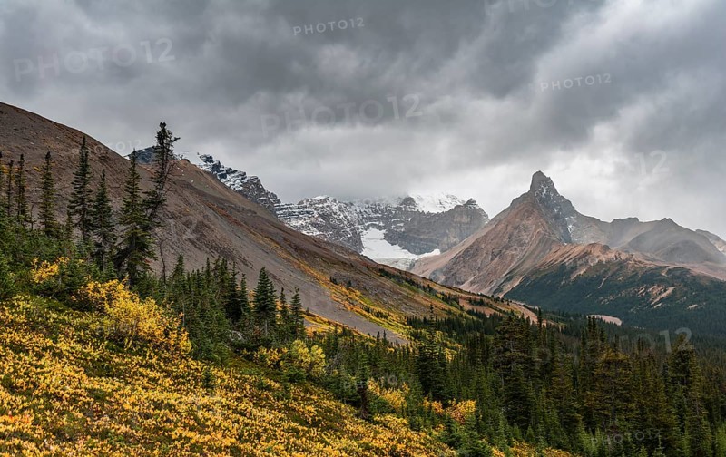 View to Mount Athabasca and Hilda Peak in autumn