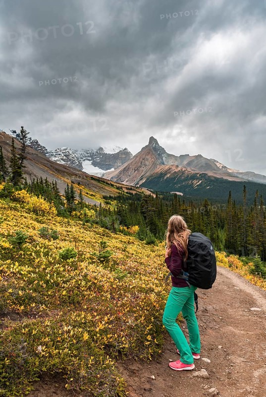 View to Mount Athabasca and Hilda Peak in autumn