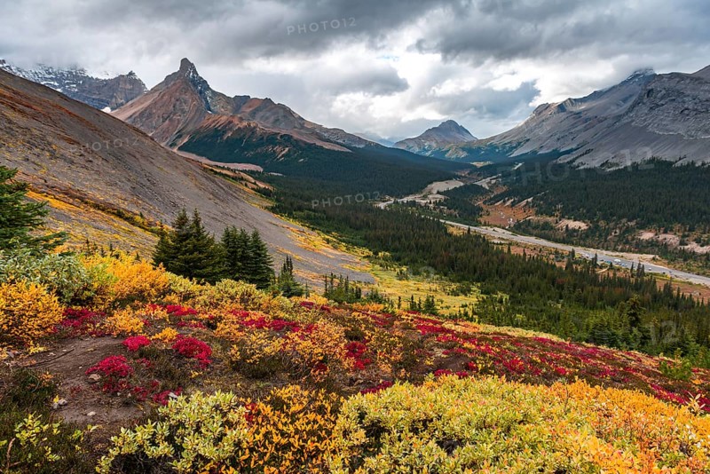 View to Mount Athabasca and Hilda Peak in autumn