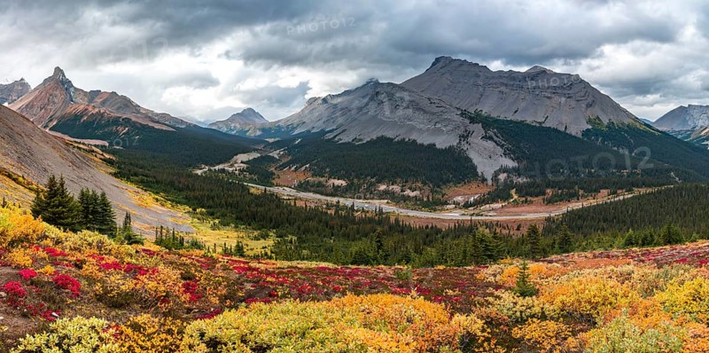 View to Mount Athabasca and Hilda Peak in autumn