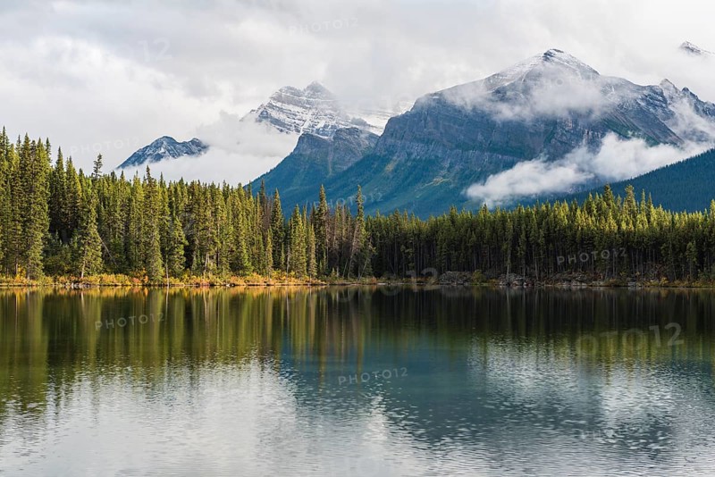 Herbert Lake