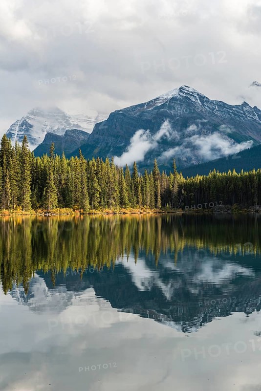 Herbert Lake