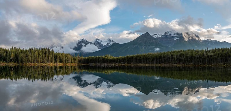 Herbert Lake