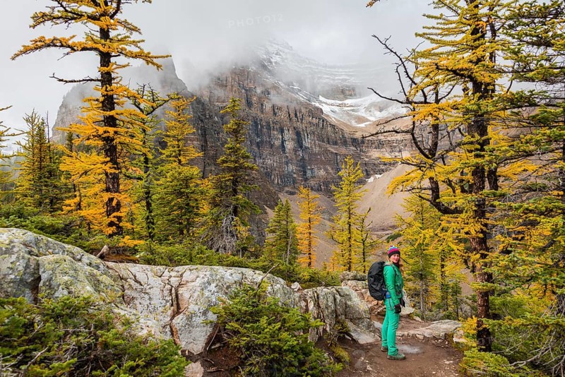 Hiker at the summit of The Beehive