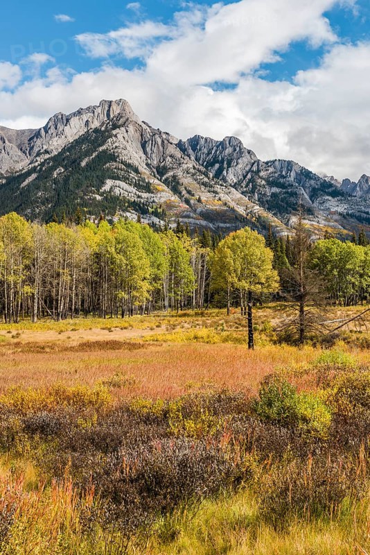 Fall Mountain Landscape