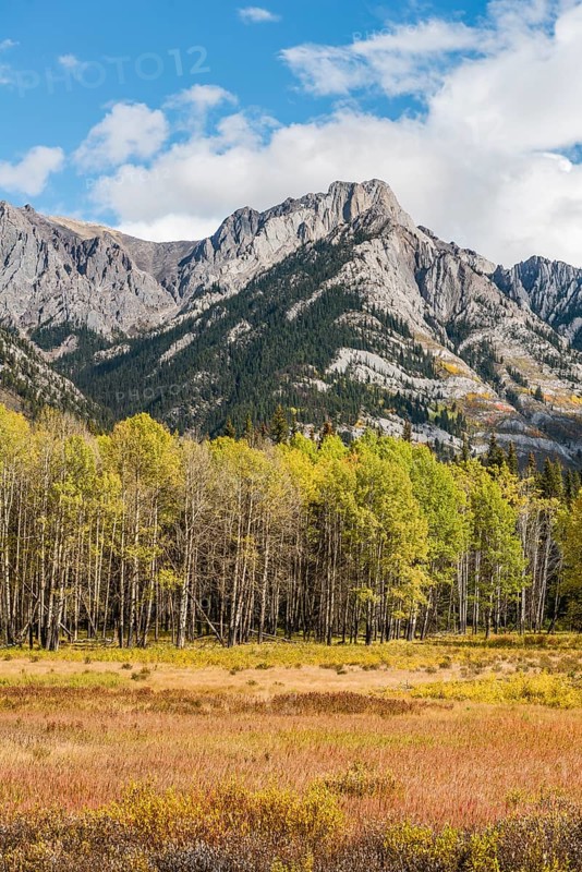Fall Mountain Landscape
