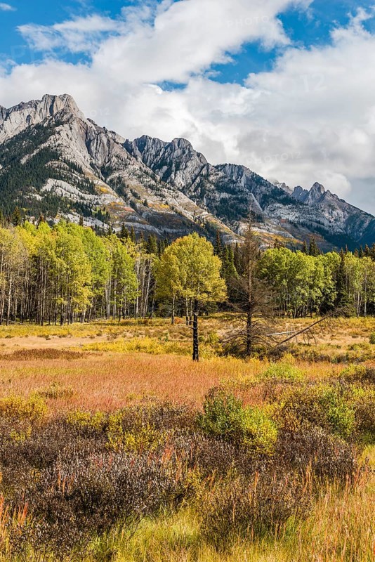 Fall Mountain Landscape