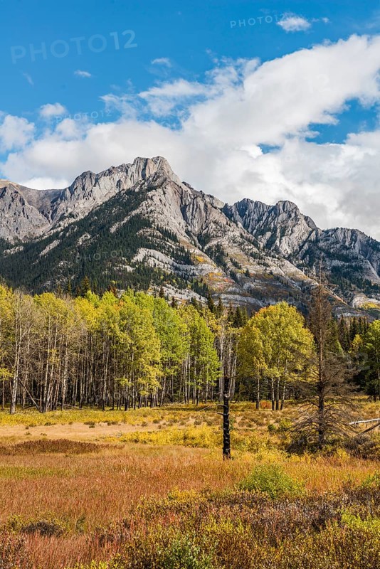 Fall Mountain Landscape