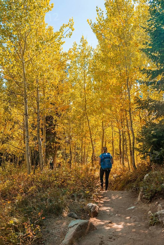 Young woman on hiking trail