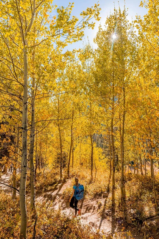 Young woman on hiking trail