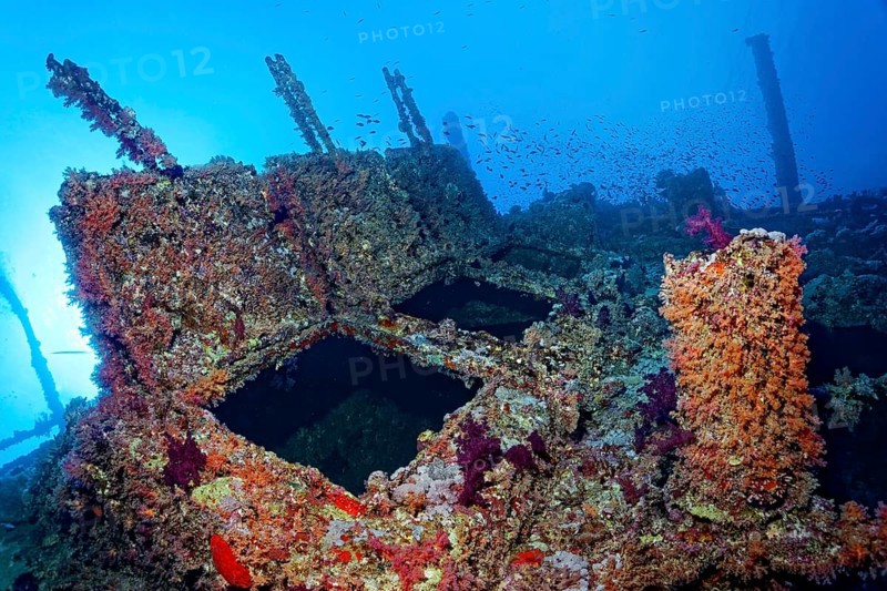 Overgrown shipwreck of the Numidia