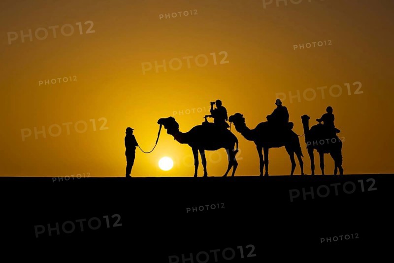 Silhouette of tourists on dromedaries at sunset in the desert south of Quarzazate