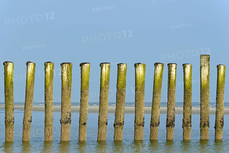 Groynes