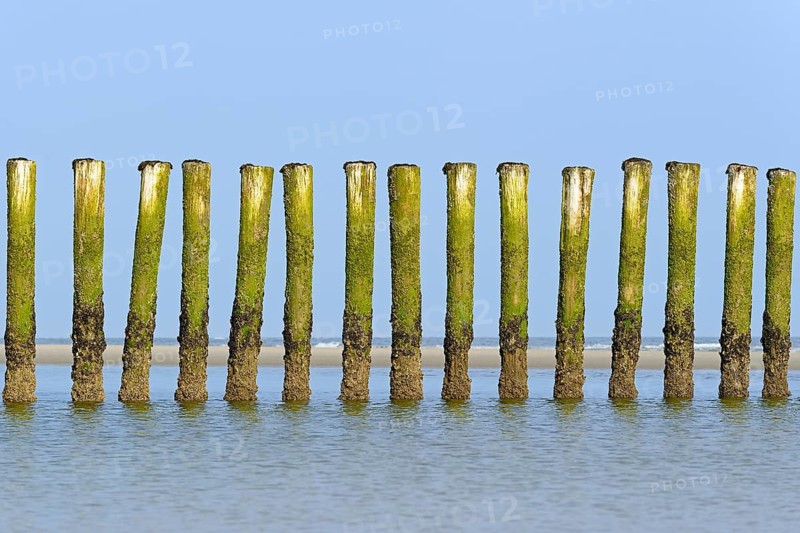 Groynes