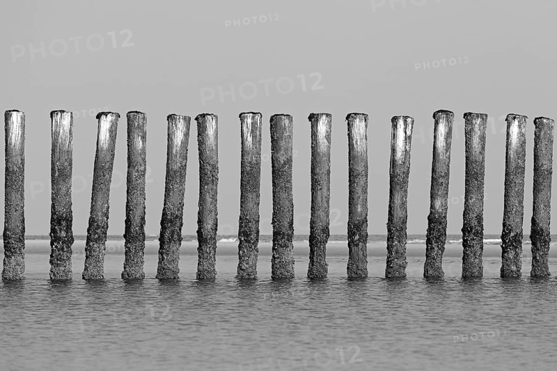 Groynes
