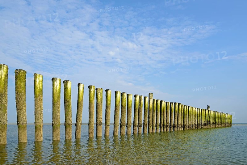 Groynes