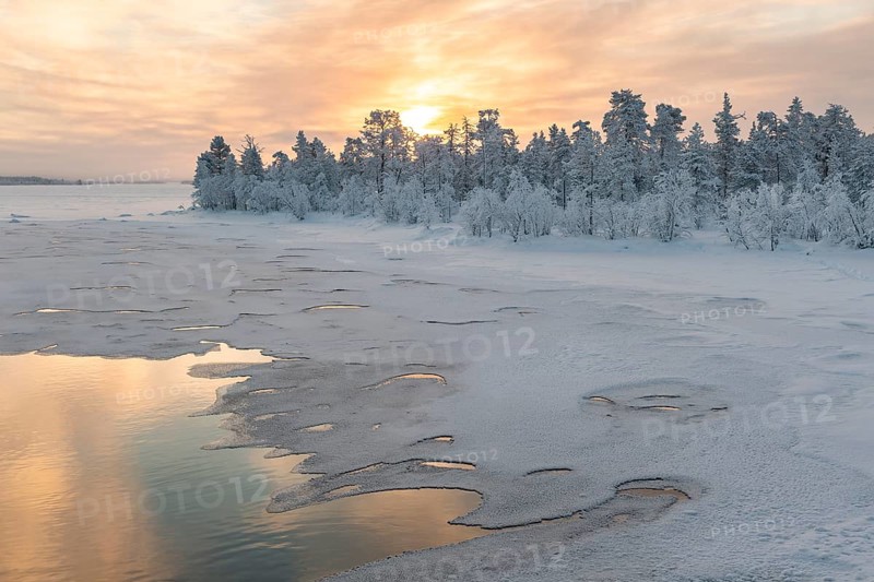 Atmospheric winter landscape