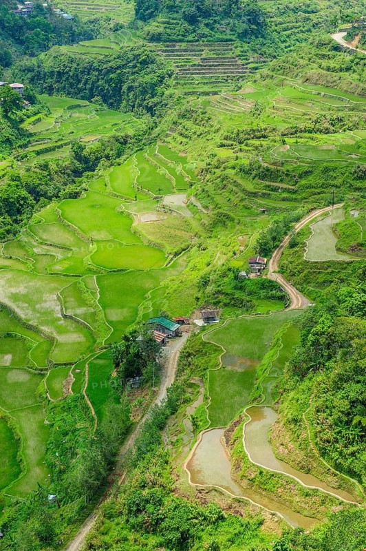 Hapao rice terraces