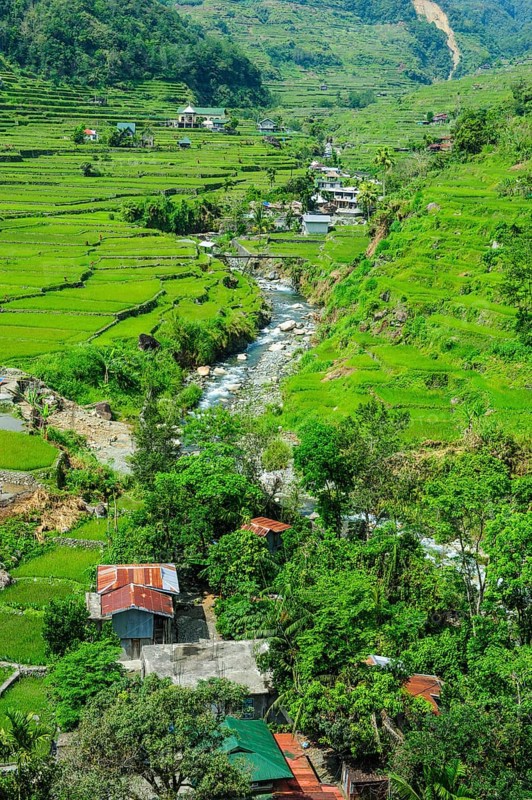 Hapao rice terraces