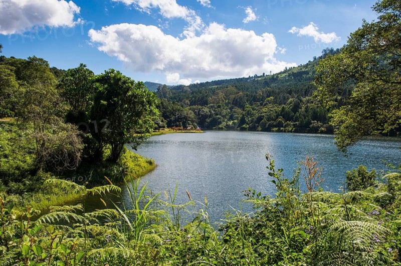 Artifical lake on the Mulunguzi Dam