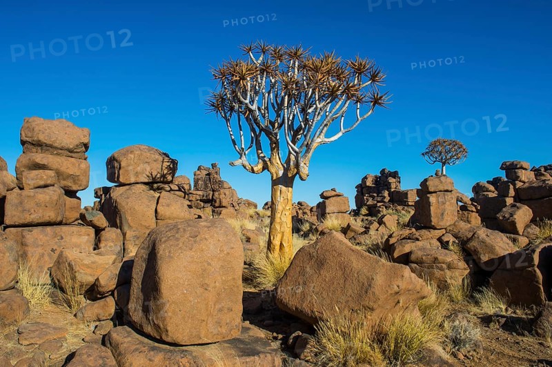 Bizarre rock formations