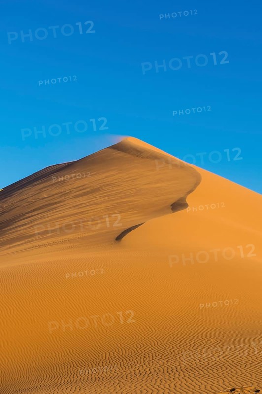 Giant sand Dune 45