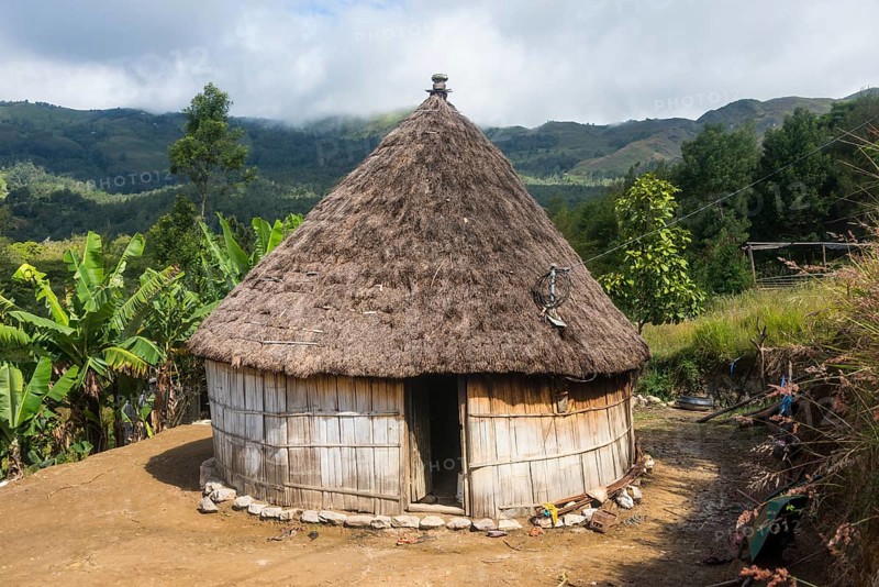 Traditional reed hut with banana plants around in the mountains of Maubisse