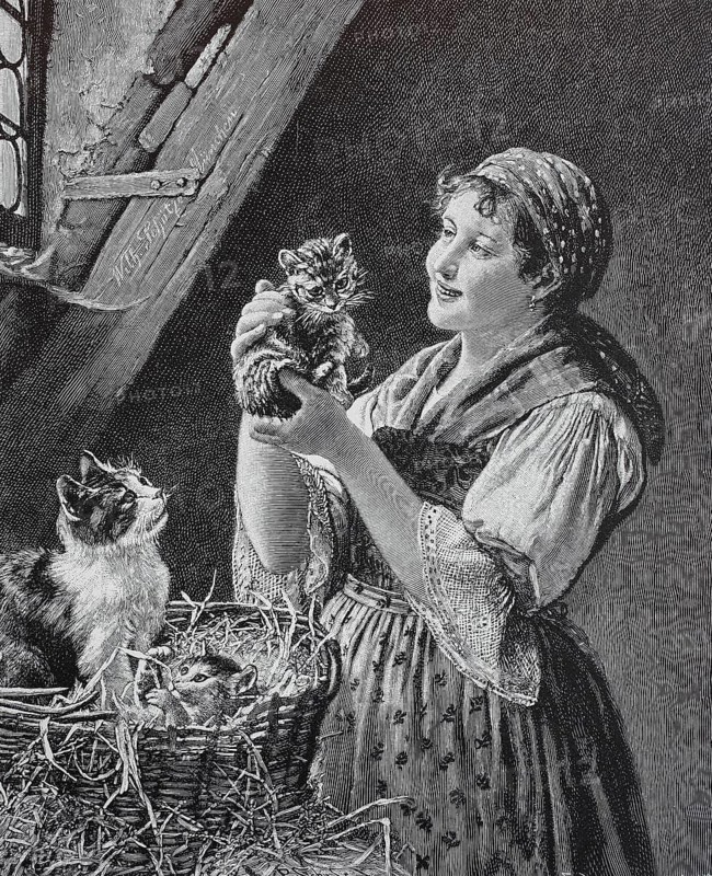 The domestic cat in a straw basket gave birth and the farmer's wife looks at the kittens