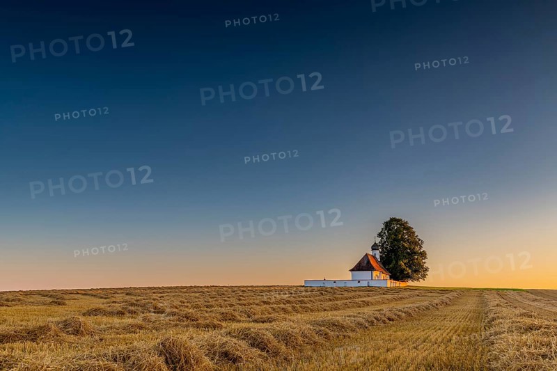 Sank Walburga Chapel in cornfield at Blue Hour