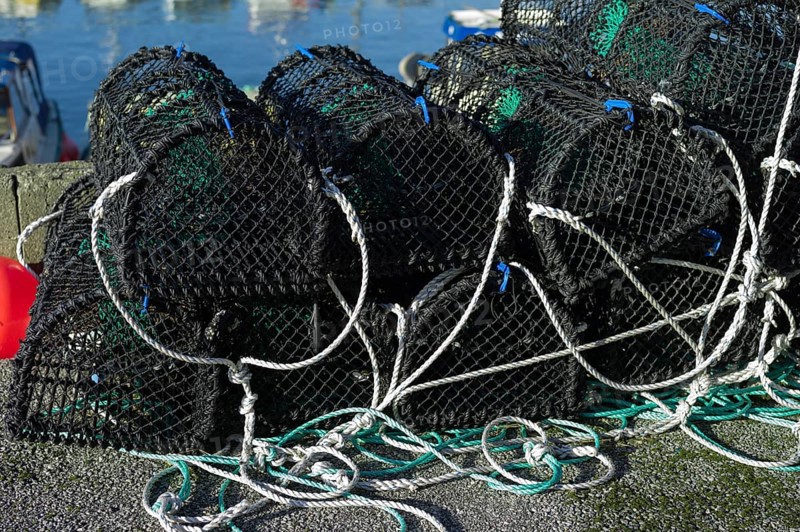 Crab fishing net