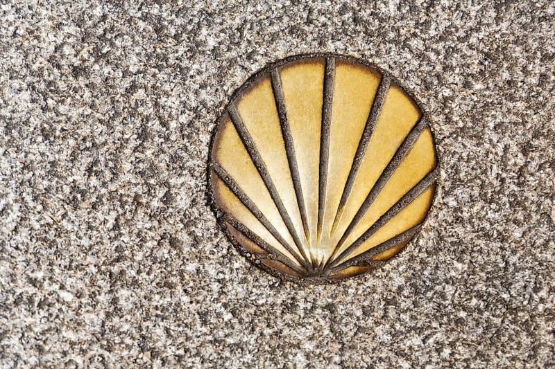 Figure of a Scallop in the asphalt